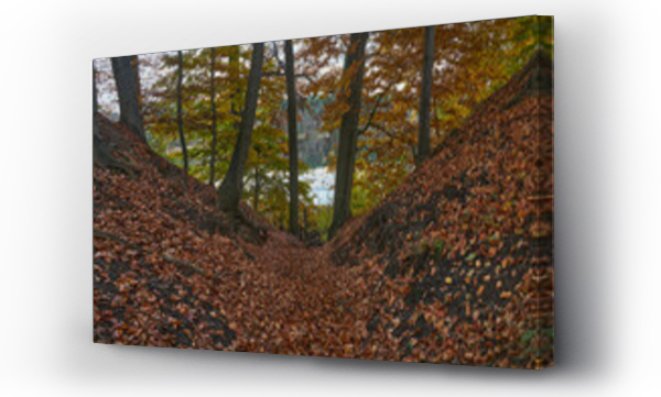 Wizualizacja Obrazu : #677143308 Buki nad jeziorem Lutom, Park krajobrazow, jesienny pejza?