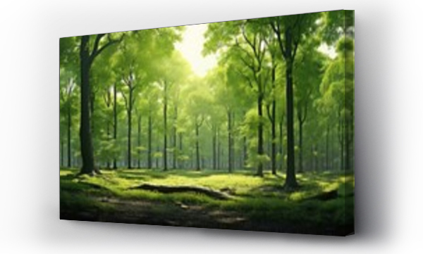 Wizualizacja Obrazu : #677516282 outdoor nature forest panorama sweeping illustration countryside view, summer mountain, green blue outdoor nature forest panorama sweeping