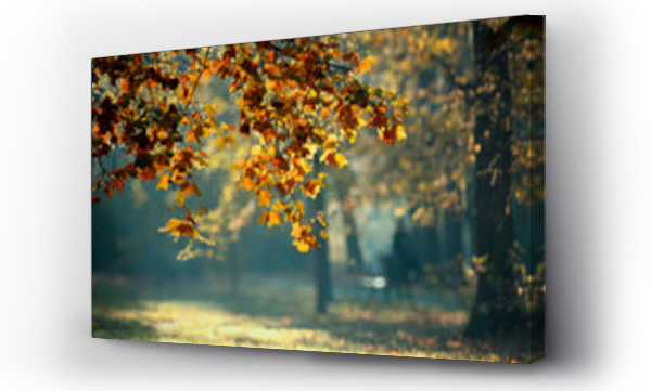 Wizualizacja Obrazu : #677835346 Krajobraz jesienny w parku i poranne mi?e ?wiat?o, ?ywiec, Polska