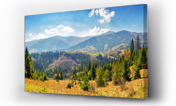 Wizualizacja Obrazu : #678131475 panorama of mountainous carpathian countryside in autumn. forested hills rolling down in to the distant rural valley. beautiful scenery on a sunny day with clouds on the sky