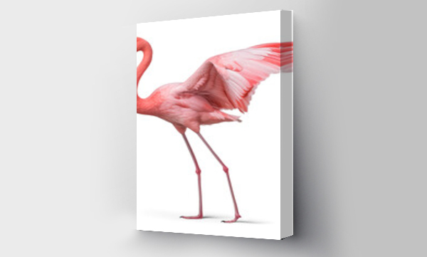 Wizualizacja Obrazu : #678187701 flamingo with spread open wings