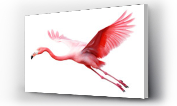 Wizualizacja Obrazu : #678187735 flying flamingo, isolated