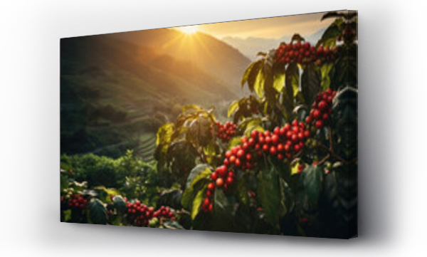 Wizualizacja Obrazu : #679654036 branch of ripe red coffee beans growing in mountain at sunset