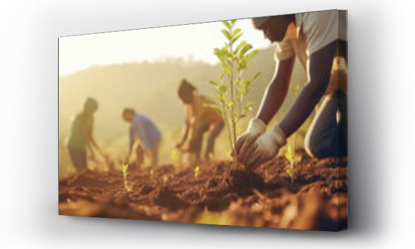 Wizualizacja Obrazu : #680278612 copy space, stockphoto, african people working on a reforestation project. Susainable project, reforestation theme. Volunteers working on a reforastation project. Envrionmental responsible. Preservati