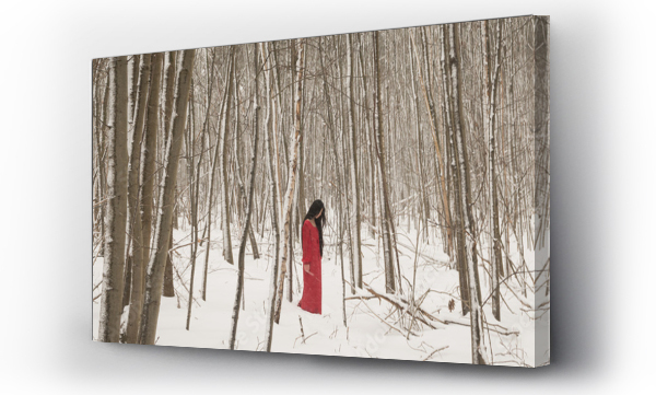 Wizualizacja Obrazu : #681723219 art portrait of woman in long red dress in white snow forest landscape