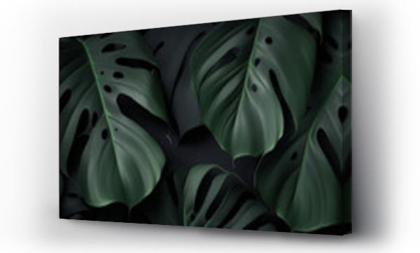 Wizualizacja Obrazu : #684191217 Deep rich background with monstera leaves. Juicy green leaves on dark background.Template,background,wallpaper with monstera leaves