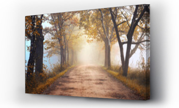 Wizualizacja Obrazu : #684313911 Jesienny mglisty krajobraz