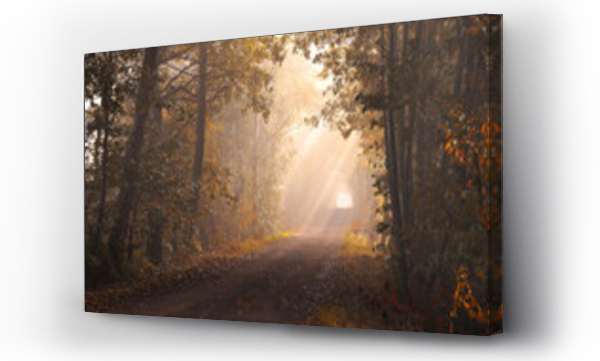 Wizualizacja Obrazu : #684314641 Jesienny mglisty krajobraz