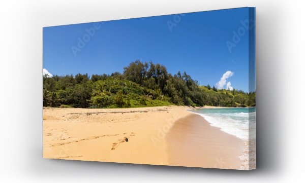 Wizualizacja Obrazu : #684401741 Tropical beach on the Hawaiian island of Kauai. The sand of Hawaii is warm as the ocean water waves are seen on the right. The image is a panorama. 