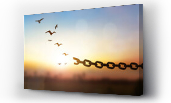 Wizualizacja Obrazu : #685439194 hope freedom concept, Bird flying and broken chains over blurred nature sunrise background
