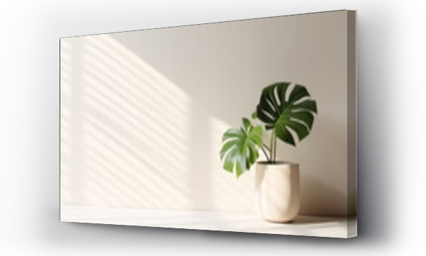 Wizualizacja Obrazu : #685512977 Minimalistic light background with blurred Monstera Deliciosa plant pot shadow on a light wall. Beautiful background for presentation with with marble floor