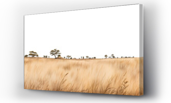 Wizualizacja Obrazu : #685625137  Savanna grass field row. Generative AI.