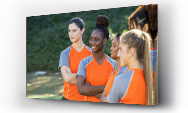 Wizualizacja Obrazu : #687289757 Female soccer team. The women players work together as a team in a group of five wearing matching orange jerseys. 