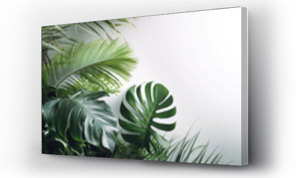Wizualizacja Obrazu : #688329198 Interior plants ? Monstera leaves and tropical foliage, with a botanical theme, sunlight flowing through leaves, isolated on a white background ? HD image, perfect for graphic design projects and work