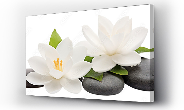 Wizualizacja Obrazu : #688805116 Tranquil spa stones complement lotus blooms, cut out
