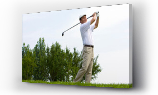 Wizualizacja Obrazu : #689576600 Side View of Golfers Swing