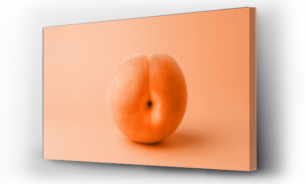 Wizualizacja Obrazu : #689899159 A single ripe peach fruit on minimal peach fuzz color background. Modern trendy tone hue shade