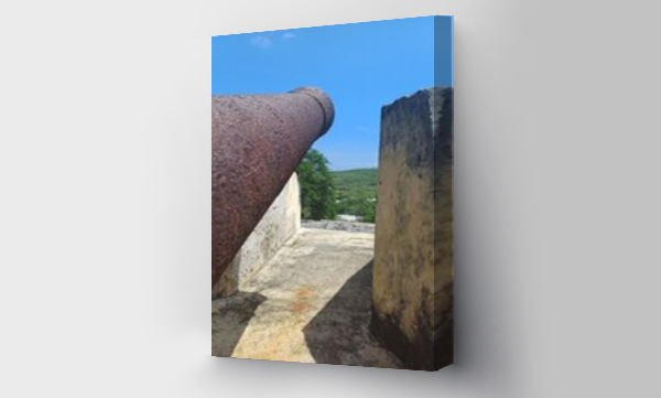 Wizualizacja Obrazu : #691876586 Historic monuments in Cartagena colombia, and cartagena walls