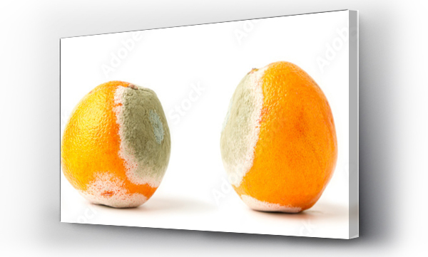 Wizualizacja Obrazu : #692042027 Rotting orange on a white background. Spoiled fruit