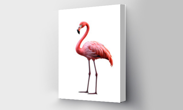 Wizualizacja Obrazu : #693240064 Portrait of a pink flamingo standing isolated on white, transparent