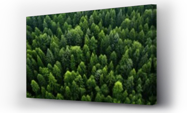 Wizualizacja Obrazu : #693585899 Aerial view of a dense green forest for environmental themes