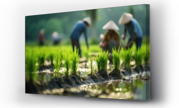 Wizualizacja Obrazu : #694354264 Farmers planted seedlings in green rice fields 