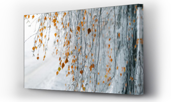 Wizualizacja Obrazu : #694378832 T?o zimowe, poranny szron na drzewach (Winter background, morning frost on the trees)	