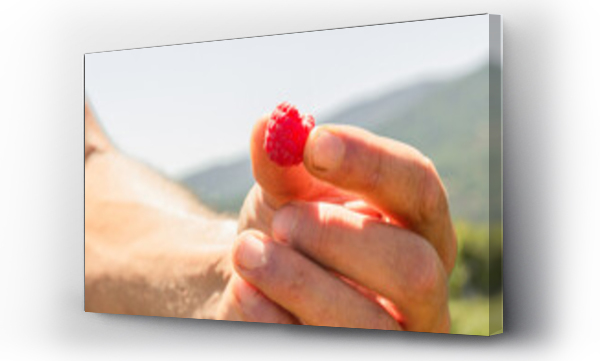 Wizualizacja Obrazu : #694827849 Anonymous botanist holding harvested berry fruit