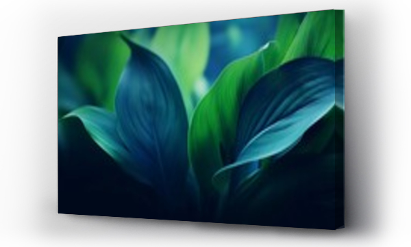 Wizualizacja Obrazu : #696791298 Close-up detail macro texture bright blue green leave tropical forest plant spathiphyllum cannifolium in dark nature background.Curve leaf floral botanical abstract desktop wallpaper,w : Generative AI