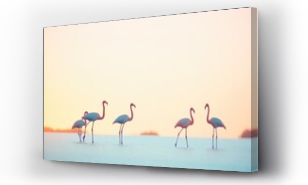 Wizualizacja Obrazu : #700073739 silhouettes of flamingos at sunset