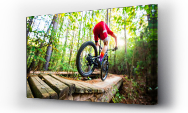 Wizualizacja Obrazu : #702975379 Mountain biker in a red jersey bounding over a wooden bridge on a trail in sunny woods, wide angle shallow focus