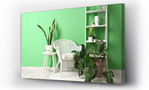 Wizualizacja Obrazu : #704045667 Interior of modern room with armchair, shelf unit and houseplants near green wall