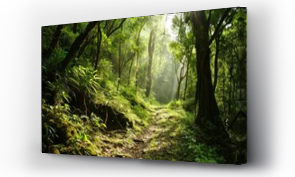 Wizualizacja Obrazu : #704709285 Lush green forest path with sunlight streaming through trees