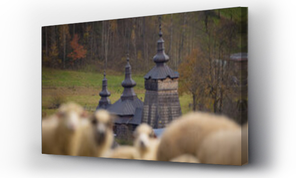 Wizualizacja Obrazu : #706867005 Owce i cerkiew w Szczawniku jesieni?. Widok na zwierz?ta i okolic?.