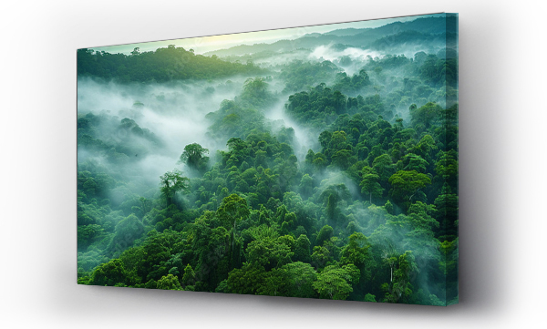 Wizualizacja Obrazu : #706913445 A green forest with fog