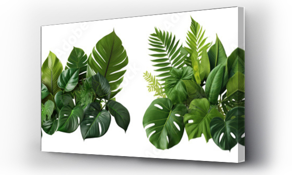Wizualizacja Obrazu : #709839224 Collection of green leaves of tropical plants bush (Monstera, palm, rubber plant, pine, birds nest fern). PNG, cutout, or clipping path.	
