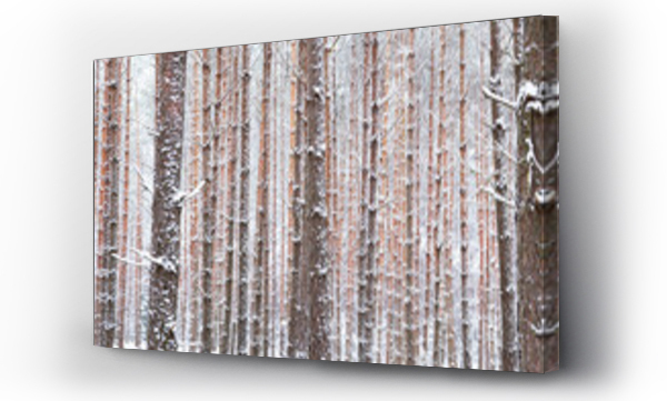 Wizualizacja Obrazu : #710861979 