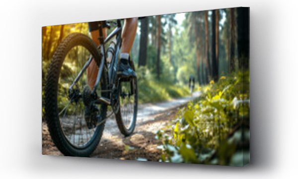 Wizualizacja Obrazu : #710891208 Close-up of a mountain bike in a park. man riding on forest trails.