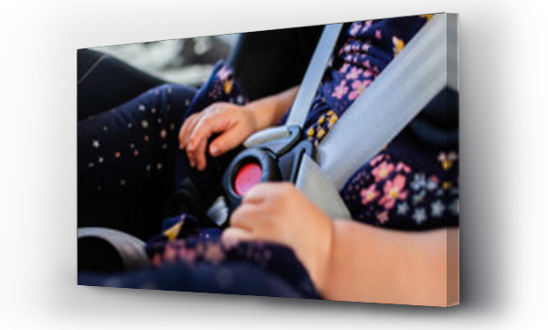 Wizualizacja Obrazu : #711416391 Buckle and straps done up with toddler in extended rear facing car seat