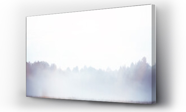 Wizualizacja Obrazu : #712611183 Fog in the field. Evening nature summer with white fog.