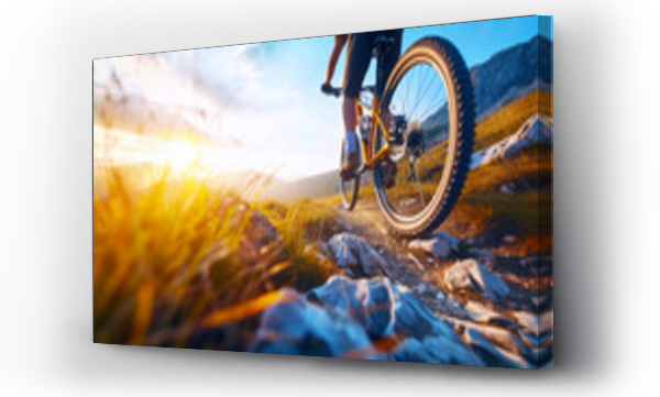 Wizualizacja Obrazu : #712652171 cyclist rides a mountain bike on a rocky path at sunset with golden light shining through the grass