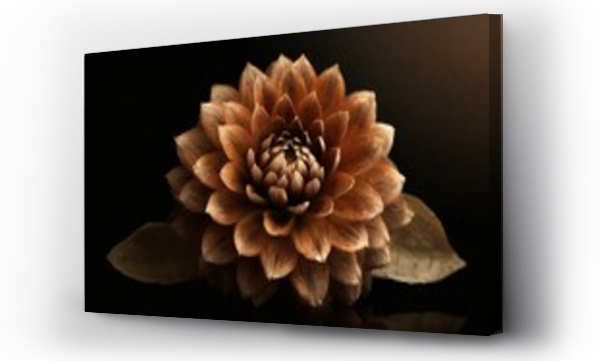 Wizualizacja Obrazu : #715831642 Kwiat dalii 3D na czarnym tle