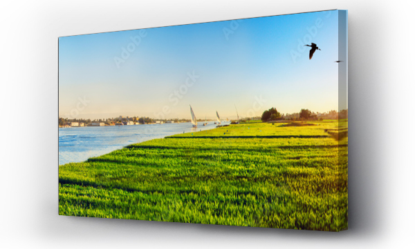 Wizualizacja Obrazu : #718158352 Feluccas on Nile and green fields of wheat at sunset time, panorama, Luxor, Egypt.