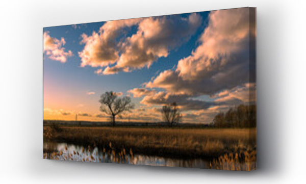 Krajobrazy, Zulawy, żuławy