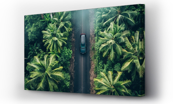 Wizualizacja Obrazu : #724748884 Aerial view of car driving on asphalt road in lush green rainforest with dense tree canopy
