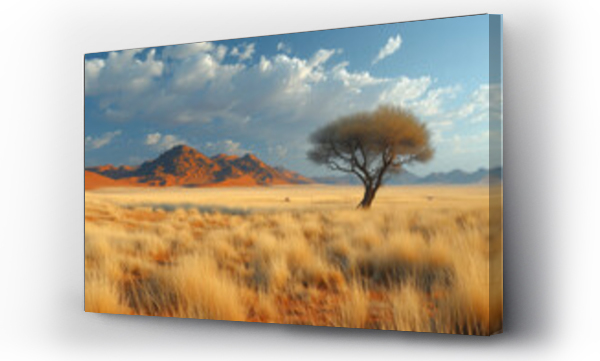 Wizualizacja Obrazu : #728844499 Panoramic landscape photo views over the kalahari region in South Africa