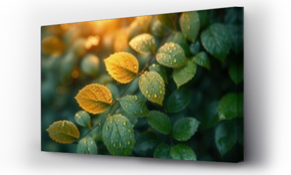 artystyczne, Liście