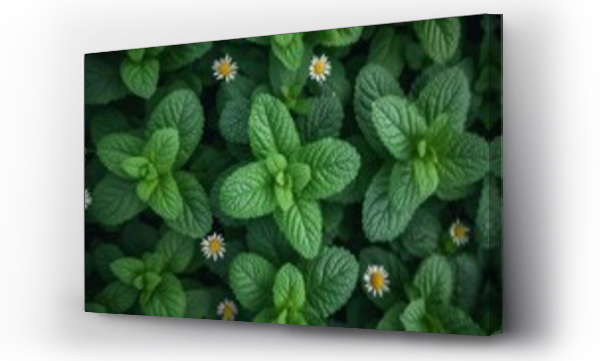 las kwiaty, Liście, łąka