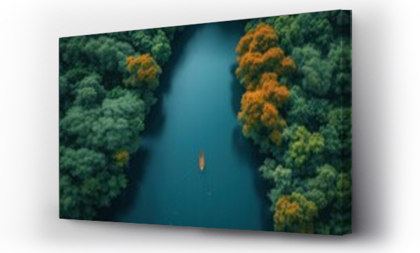 Wizualizacja Obrazu : #733243354 Widok z lotu ptaka ?odzi na rzece otoczonej drzewami