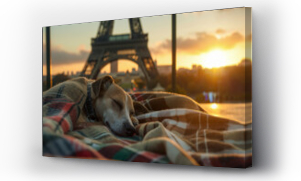 Wizualizacja Obrazu : #733593990 a sleeping Scottish Greyhound, with tartan blanket, at the base of the Eiffel Tower, soft natural sunset lighting